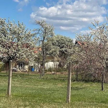 Prazdninovy Dum Sorada Holiday home